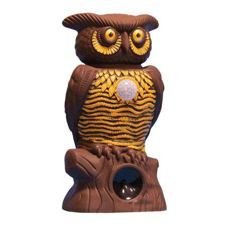 Owl Alert Motion Sensor – All-Weather Pest Deterrent for Gardens and Lawns 202202042104home-living-owl-alert-motion-sensor-perfect-dealz-12485430345762 KAVE